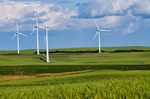 Elektrownie wiatrowe – znaczenie dla przyszłej energetyki